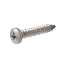 Os parafusos de batida Recessed transversais de Pan Head Stainless Steel Self zincam o tipo chapeado