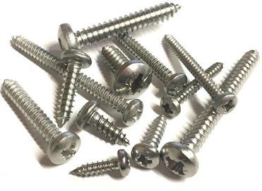 A cruz lisa da movimentação de Pozi/PZ Recessed Pan Head Tapping Screw SS 304 316 feitos