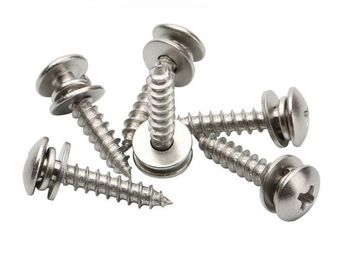 Conjunto Recessed transversal personalizado da arruela plana de Pan Head Tapping Screw And